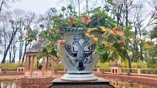 Любимый город