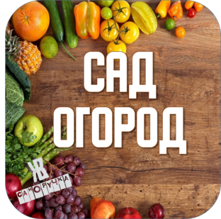 Сад-Огород