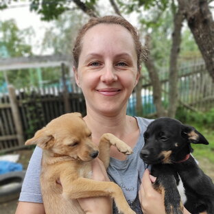 Щенок Булочка