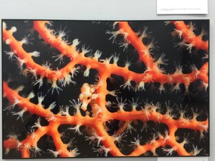 Искусство, события,культурные мероприятия,праздники.