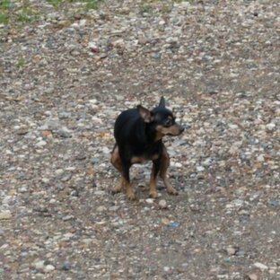 Лайкфаки & Лайфкаки