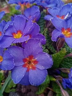 Навигатор по каналу