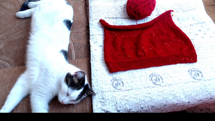 СП ПОРА НАДЕТЬ