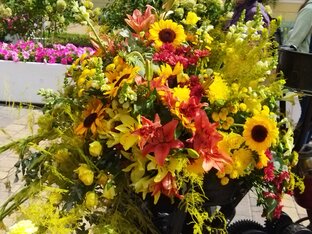 Про трёх подруг