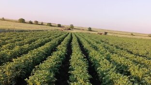 село Каменка.