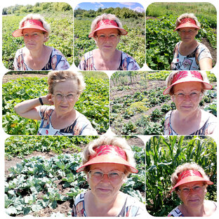 Желания (не исполнимые)