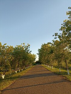 У природы нет плохой погоды!