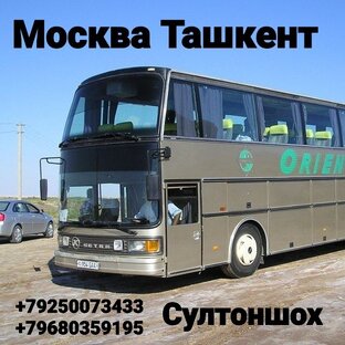 москва ташкент автобус хизмати +79250073433  +79680359195