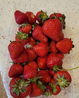 ягодомания и другие рецепты