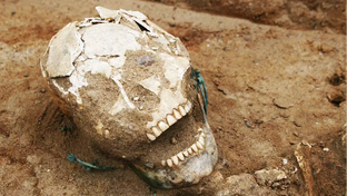 Наука, исследования, находки 