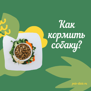 Кормление