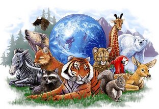 Будь защитником слабых и помогай.