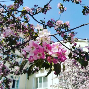 Поэзия для души 