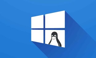 WSL
