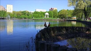 Парк Дубки