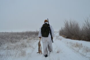 Охота на зайца