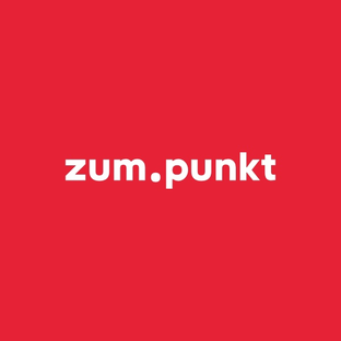 Статистика Дзен Агентство Zum Punkt