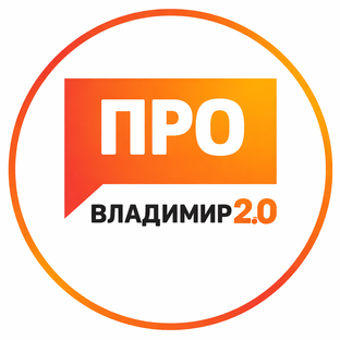 Статистика Дзен ПроВладимир