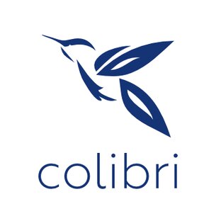 Статистика Дзен Colibri. Командировки онлайн