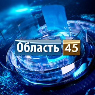 Статистика Дзен Область 45 | Курганская область