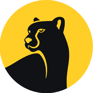 Дзен Зоография статистика