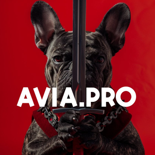 Avia.pro - СМИ