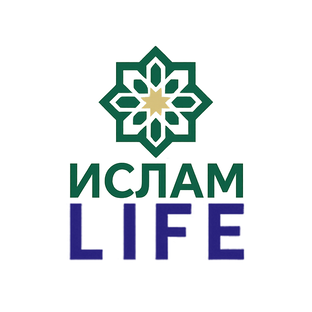 Статистика Дзен Ислам LIFE