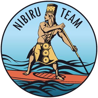 Статистика Дзен Nibiru.team