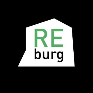 Статистика Дзен REBURG