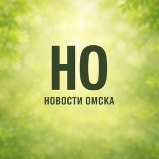 Статистика Дзен Новости Омска
