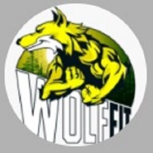 Дзен WolfFit статистика