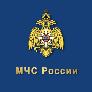 Статистика Дзен МЧС России