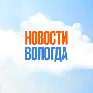 Статистика Дзен Новости Вологда