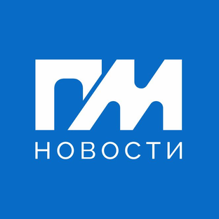 Дзен ПИНСКМЕДИА статистика