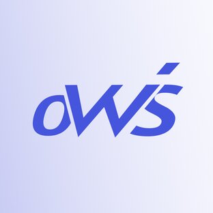 Статистика Дзен oWeb-Solutions
