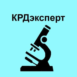 Статистика Дзен КРДэксперт - Полезные советы эксперта