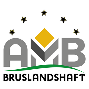 Статистика Дзен AMB-Bruslandshaft