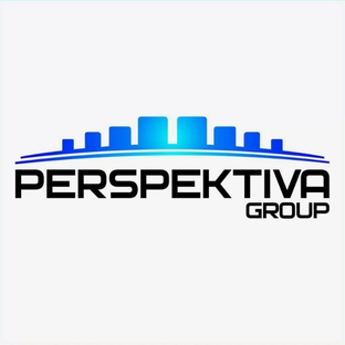 Статистика Дзен Perspektiva group
