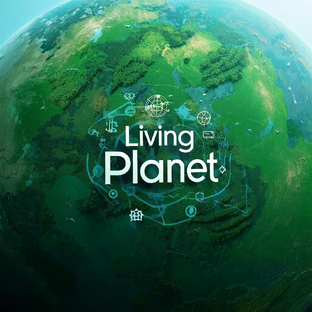Статистика Дзен Living Planet (Живая Планета)