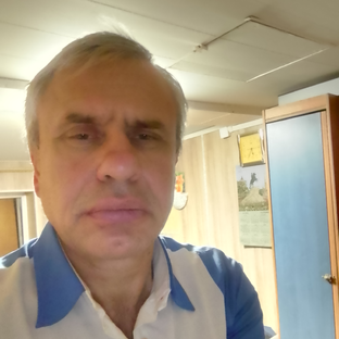 Статистика Дзен Олег Боровских