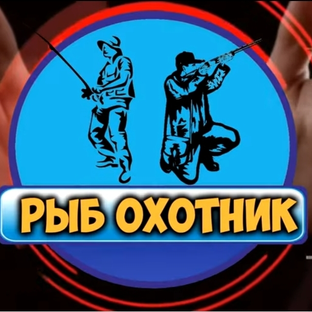 Статистика Дзен Канал Рыб-Охотника