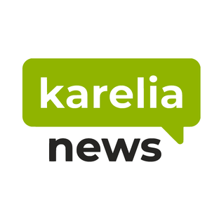 Статистика Дзен Карелия.Ньюс. Новости Петрозаводска