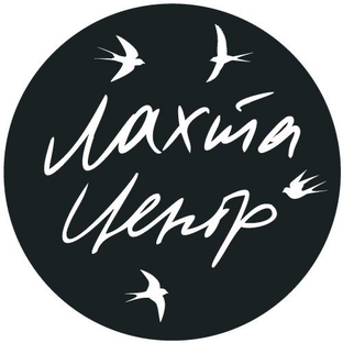 Дзен Лахта Центр статистика