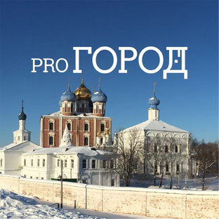 Статистика Дзен Pro Город Рязань