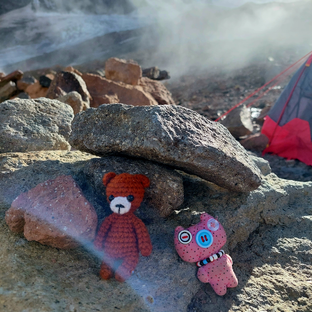 Статистика Дзен bear_travel