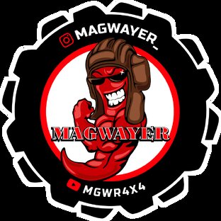 Дзен Квадроблогер Magwayer статистика