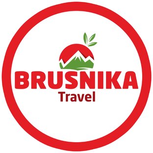 Дзен BRUSNIKA TRAVEL статистика