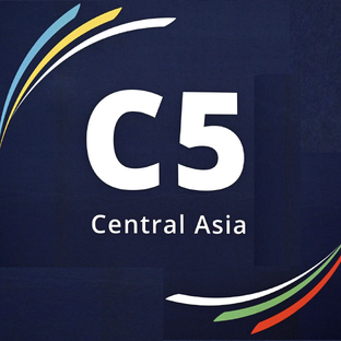 Статистика Дзен Новости Центральной Азии – C5