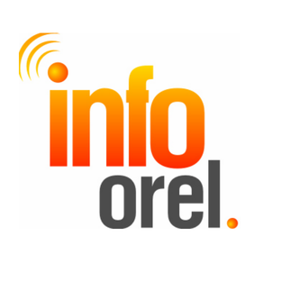 Статистика Дзен Инфоорел — Новости Орла и области