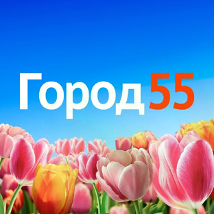 Статистика Дзен gorod55.ru
